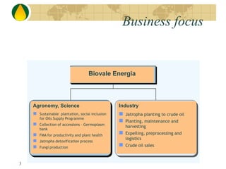 Business focus
3
Agronomy, Science
 Sustainable plantation, social inclusion
for Oils Supply Programme
 Collection of accessions – Germoplasm
bank
 FMA for productivity and plant health
 Jatropha detoxification process
 Fungi production
Industry
 Jatropha planting to crude oil
 Planting, maintenance and
harvesting
 Expelling, preprocessing and
logistics
 Crude oil sales
Biovale Energia
 