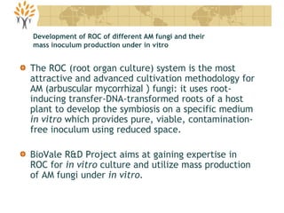 The ROC (root organ culture) system is the most
attractive and advanced cultivation methodology for
AM (arbuscular mycorrhizal ) fungi: it uses root-
inducing transfer-DNA-transformed roots of a host
plant to develop the symbiosis on a specific medium
in vitro which provides pure, viable, contamination-
free inoculum using reduced space.
BioVale R&D Project aims at gaining expertise in
ROC for in vitro culture and utilize mass production
of AM fungi under in vitro.
Development of ROC of different AM fungi and their
mass inoculum production under in vitro
 