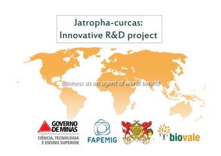 Jatropha-curcas:
Innovative R&D project
 