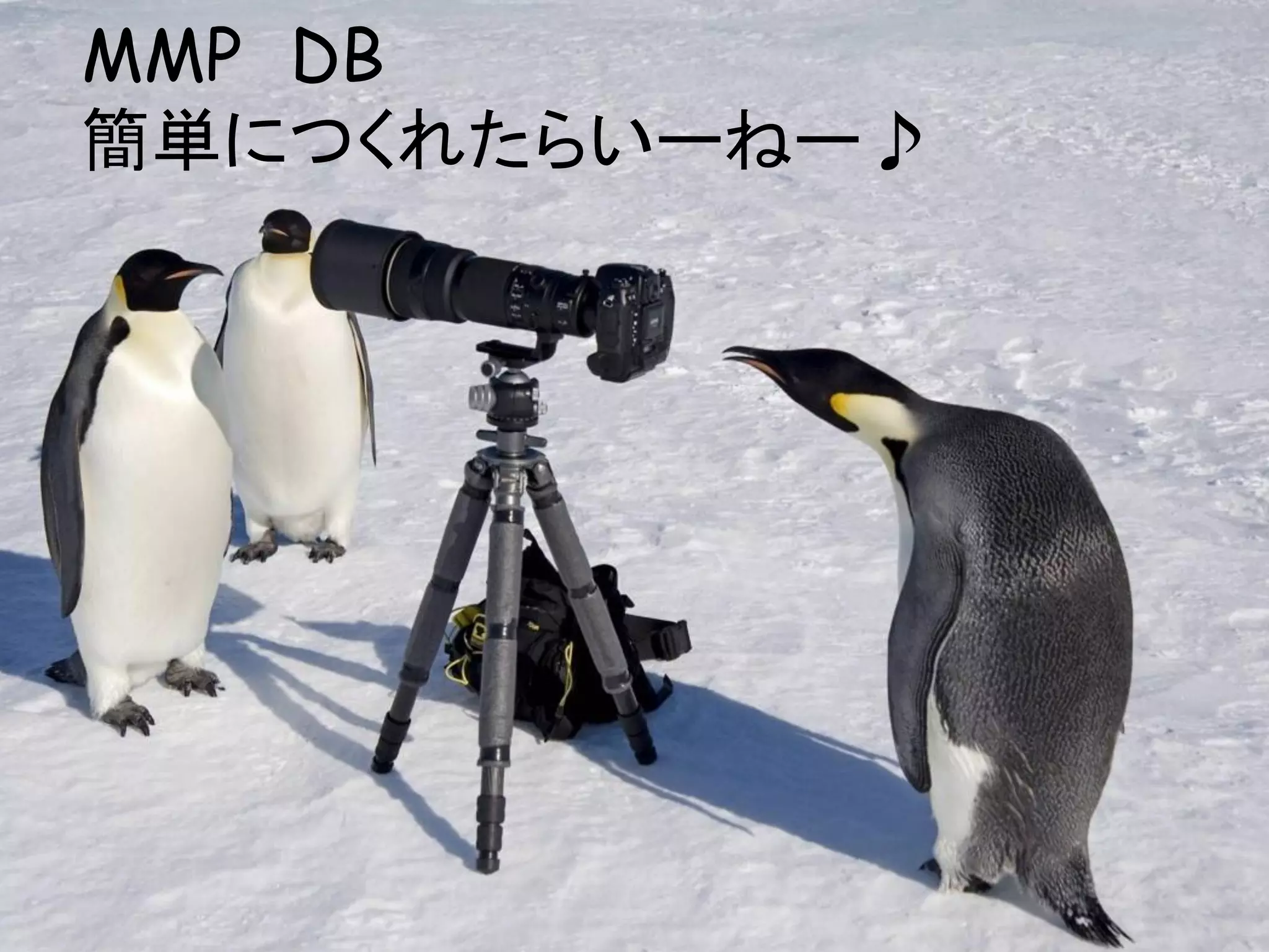 MMP DB
簡単につくれたらいーねー♪
 