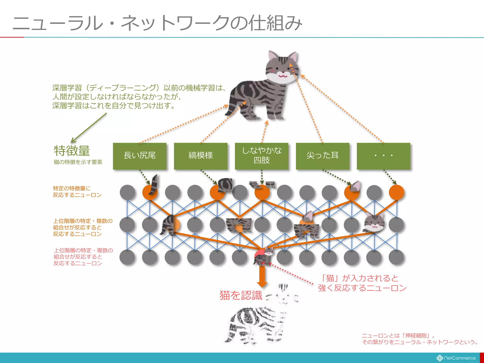 ニューラル・ネットワークの仕組み
長い尻尾 縞模様
しなやかな
四肢
尖った耳 ・・・
猫を認識
特徴量
猫の特徴を示す要素
特定の特徴量に
反応するニューロン
上位階層の特定・複数の
組合せが反応すると
反応するニューロン
上位階層の特定・複数の
組合せが反応すると
反応するニューロン
「猫」が入力されると
強く反応するニューロン
深層学習（ディープラーニング）以前の機械学習は、
人間が設定しなければならなかったが、
深層学習はこれを自分で見つけ出す。
ニューロンとは「神経細胞」。
その繋がりをニューラル・ネットワークという。
 