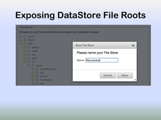 Exposing DataStore File Roots
 