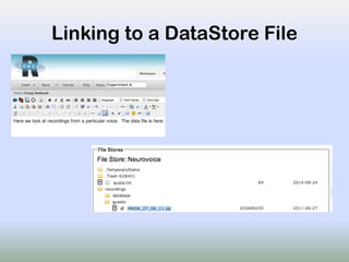 Linking to a DataStore File
 