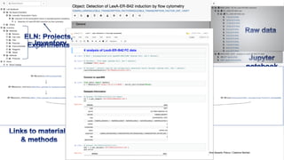 ||ID Scientific IT Services 31.10.2018 60Ana Sesartic Petrus / Caterina Barillari
 