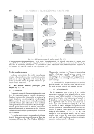 3.1. Les moulins manuels
La bonne représentation des meules manuelles au
sein des collections favorise leur caractérisation, et les
analyses de séries importantes sont beaucoup plus
aisées qu’avec les meules de grandes dimensions qui
seront traitées par la suite.
3.1.1. Les moulins manuels cylindriques plats
simples (fig. 16, 1, tab. 1)
3.1.1.1. Les catillus
Ce sont des meules de forme cylindrique plate, aux
deux faces opposées concaves, et percées de deux per-
forations fonctionnelles. La première, au centre de la
meule et de forme souvent complexe, sert, d’une part
à l’introduction du grain dans le moulin, d’autre part à
centrer la rotation grâce à l’insertion d’une anille de
centrage mobile ou solidaire de l’axe. La seconde per-
foration, percée dans le flanc de la meule, est destinée
à recevoir un élément de préhension en bois, en métal
ou en matières organiques, grâce auquel le moulin est
mis en rotation.
Ces catillus sont retrouvés dans tous les chefs-lieux
de cité, dans des proportions différentes et dans des
matériaux différents (fig. 17a). L’arkose d’Haybes/
Macquenoise constitue 44,3 % des soixante-quinze
catillus cylindriques manuels pris en compte, pour
19 % de grès de Fosses/Belleu, 15,2 % de roche vol-
canique, 11,4 % de calcaire gréseux, et 1,3 % de cal-
caire à ditrupa.
Les caractéristiques morphométriques des meules
peuvent varier d’une roche à l’autre, par effet d’ate-
lier, mais la forme générale suit le même schéma.
3.1.1.1.1. La face supérieure
La face supérieure « en cuvette » de ces catillus
manuels présente une forme générale plus ou moins
concave, jusqu’à l’horizontalité, et il ne semble pas
exister de corrélation entre le diamètre de la meule et
le degré de courbure de la cuvette. En revanche, la
face supérieure n’est pas traitée exactement de la
même façon selon la roche utilisée (fig. 16, 1). Si celle
des meules en arkose d’Haybes/Macquenoise et en
calcaire gréseux est clairement concave, celle de cinq
catillus en grès de Fosses/Belleu est horizontale ou
approche l’horizontale (39, 41, 43, 45, 48). Les
meules en roche volcanique sont ici trop peu repré-
sentées pour en tirer des observations pertinentes,
mais leur face supérieure forme aussi une cuvette plus
ou moins inclinée selon les individus.
180 PAUL PICAVET AVEC LA COLL. DE GILLES FRONTEAU ET FRANÇOIS BOYER
0 30 cm
1a.
1b.
1c.
2.
3a.
3b.
3c.
4a.
4b.
4c.
FIG. 16. — Schémas typologiques de moulins manuels. Éch. 1/10.
1. Moulins manuels cylindriques plats simples : 1a : en arkose d’Haybes/Macquenoise ; 1b : en grès de Fosses/Belleu ; 1c : en roche volca-
nique ; 2. Moulin manuel cylindrique plat à réglage de l’écartement ; 3. Moulins manuels en poudingue : 3a : à perforation latérale prolongée
dans l’œil ; 3b : à perforation latérale aveugle ; 3c : à encoches sur le flanc ; 4. Moulins de forme protohistorique d’après la typologie de
Cl. Pommepuy : 4a : type 1 ; 4b : type 2 ; 4c : type 3 (Pommepuy 1999).
Picavet 22/05/12 11:02 Page 180
©
Association
Revue
du
Nord
|
Téléchargé
le
03/01/2023
sur
www.cairn.info
(IP:
181.176.148.132)
©
Association
Revue
du
Nord
|
Téléchargé
le
03/01/2023
sur
www.cairn.info
(IP:
181.176.148.132)
 