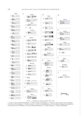 212 PAUL PICAVET AVEC LA COLL. DE GILLES FRONTEAU ET FRANÇOIS BOYER
9
10
11
12
13
14
15
16
17
18
19
20
21
23
24
8
22
25
26
27
28
29
30
31
Bavay
Amiens
1
2
36
37
41
39
40
38
42
Amiens
51
Beauvais
Amiens
43
44
45
46
48
49
59
Reims
Reims
34
33
71
Reims
74
Reims
Soissons
77
76
78
79
35
Soissons
Soissons
73
Bavay
64
65
66
67
68
69
100
90
Bavay
91
Boulogne
70
101
47
Bavay
Boulogne
94
95
96
Amiens
97
98
Bavay
99
Beauvais
102
a.
b.
c.
d.
e.
f.
g.
Amiens
h.
i.
j.
0 30 cm
FIG. 41. — Catalogue des meules manuelles. Éch. 1/20.
a. Catillus en arkose d’Haybes/Macquenoise ; b. Catillus en grès de Fosses/Belleu ; c. Catillus en calcaire gréseux à rares nummulites ;
d. Catillus en roche volcanique ; e. Catillus en calcaire ; f. Catillus roche indéterminée ; g. Catillus manuels à réglage de l’écartement en
calcaire gréseux à rares nummulites ; h. En arkose d’Haybes/Macquenoise ; i. En roche volcanique ; j. En grès de Fosses/Belleu.
Picavet 1 22/05/12 11:04 Page 212
©
Association
Revue
du
Nord
|
Téléchargé
le
03/01/2023
sur
www.cairn.info
(IP:
181.176.148.132)
©
Association
Revue
du
Nord
|
Téléchargé
le
03/01/2023
sur
www.cairn.info
(IP:
181.176.148.132)
 