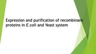 Expression and purification of recombinant
proteins in E.coli and Yeast system
 