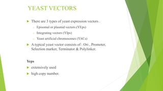YAC vector
 YACs in addition have Centromeric & Telomeric sequences which
are host specific.
 ARS : autonomously replica...