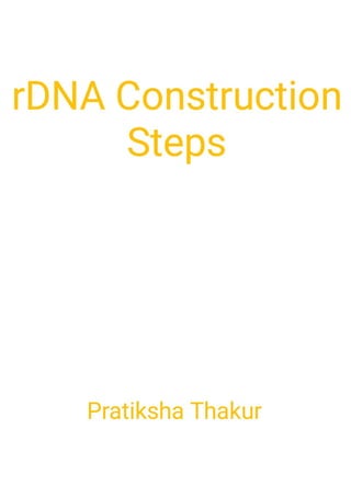 rDNA Construction Steps 