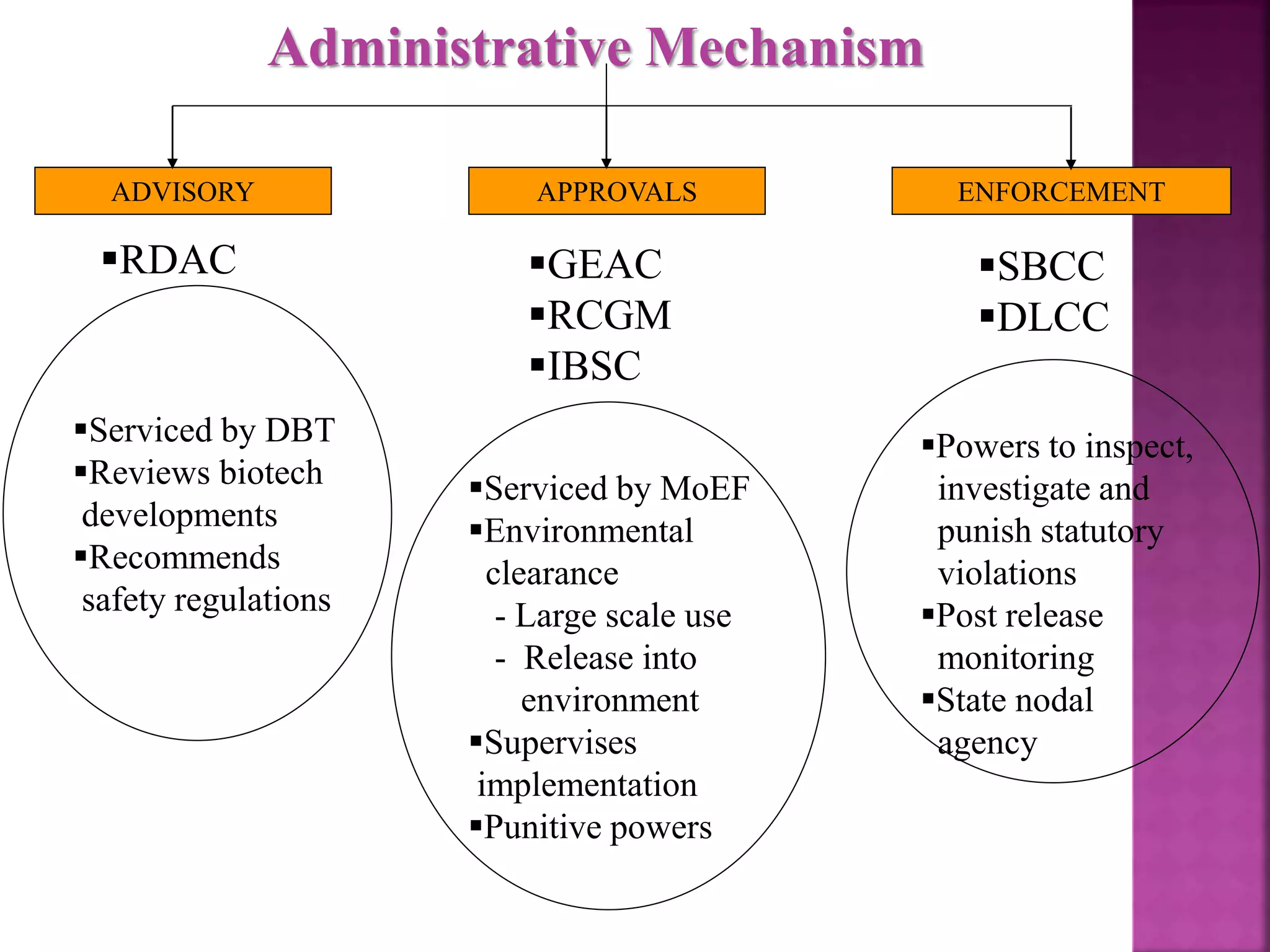 Rdac Example rdna guidelines | PPTX