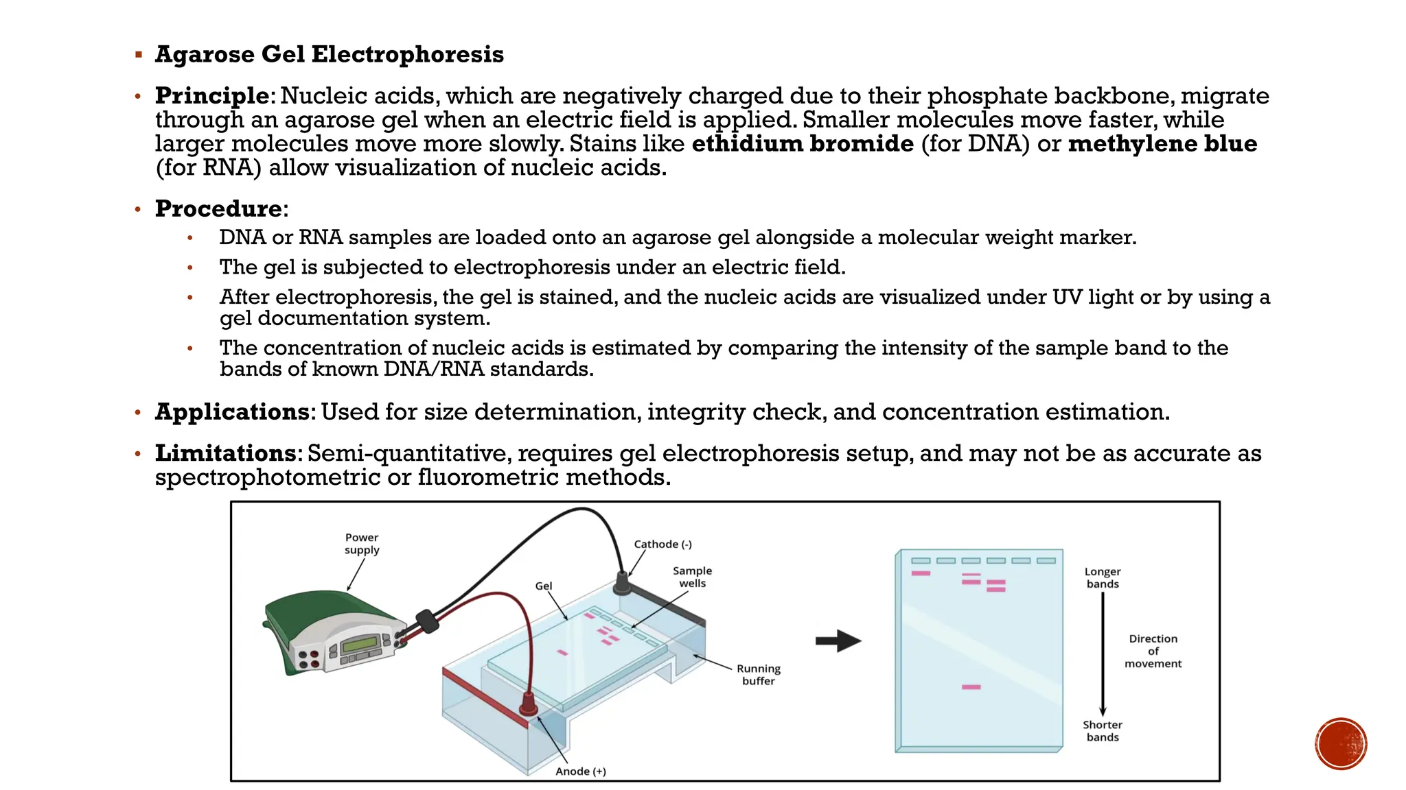 rDNA Technology, Oligonucleotide therapy and Principle of RNA & DNA ...