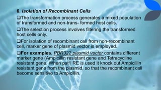6. Isolation of Recombinant Cells
The transformation process generates a mixed population
of transformed and non-trans- formed host cells.
The selection process involves filtering the transformed
host cells only.
For isolation of recombinant cell from non-recombinant
cell, marker gene of plasmid vector is employed.
For examples, PBR322 plasmid vector contains different
marker gene (Ampicillin resistant gene and Tetracycline
resistant gene. When pst1 RE is used it knock out Ampicillin
resistant gene from the plasmid, so that the recombinant cell
become sensitive to Ampicillin.
22
 