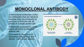 MONOCLONAL ANTIBODY
 Monoclonal antibodies (mAb)
are antibodies that are identical
because they are produced by
one type of immune cell, all
clones of a single parent cell.
 Basically produced by white
blood cell which is called as
plasma cell.
 Is used for treatment of
cancerous cells and as anti-
venom ( anti snake venom)
27
 