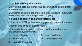 2. Isolation of myeloma cells.
 Myeloma cells are cancerous cells which is isolated from
bone-marrow.
Myeloma cells are generally immortal in nature (that which
never dies) and has multiplication property.
3. Fusion of spleen cell and myeloma cell
It requires PEG (poly ethylene glycone) medium for fusion
 It can also done by electro fusion.
Fusion between spleen cell and myeloma cell produced
five different types of cells.
1. Fused plasma 4. Fused myeloma
2. Hybridoma 5. Unfused plasma
3. Unfused myeloma
30
 