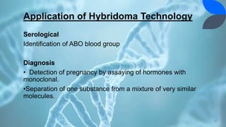 Application of Hybridoma Technology
Serological
Identification of ABO blood group
Diagnosis
• Detection of pregnancy by assaying of hormones with
monoclonal.
•Separation of one substance from a mixture of very similar
molecules.
31
 