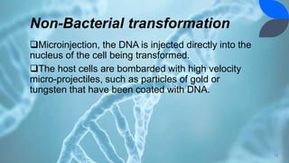 Non-Bacterial transformation
Microinjection, the DNA is injected directly into the
nucleus of the cell being transformed.
The host cells are bombarded with high velocity
micro-projectiles, such as particles of gold or
tungsten that have been coated with DNA.
13
 
