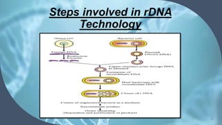 Steps involved in rDNA
Technology
17
 