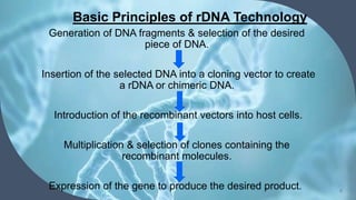 Basic Principles of rDNA Technology
Generation of DNA fragments & selection of the desired
piece of DNA.
Insertion of the selected DNA into a cloning vector to create
a rDNA or chimeric DNA.
Introduction of the recombinant vectors into host cells.
Multiplication & selection of clones containing the
recombinant molecules.
Expression of the gene to produce the desired product. 8
 