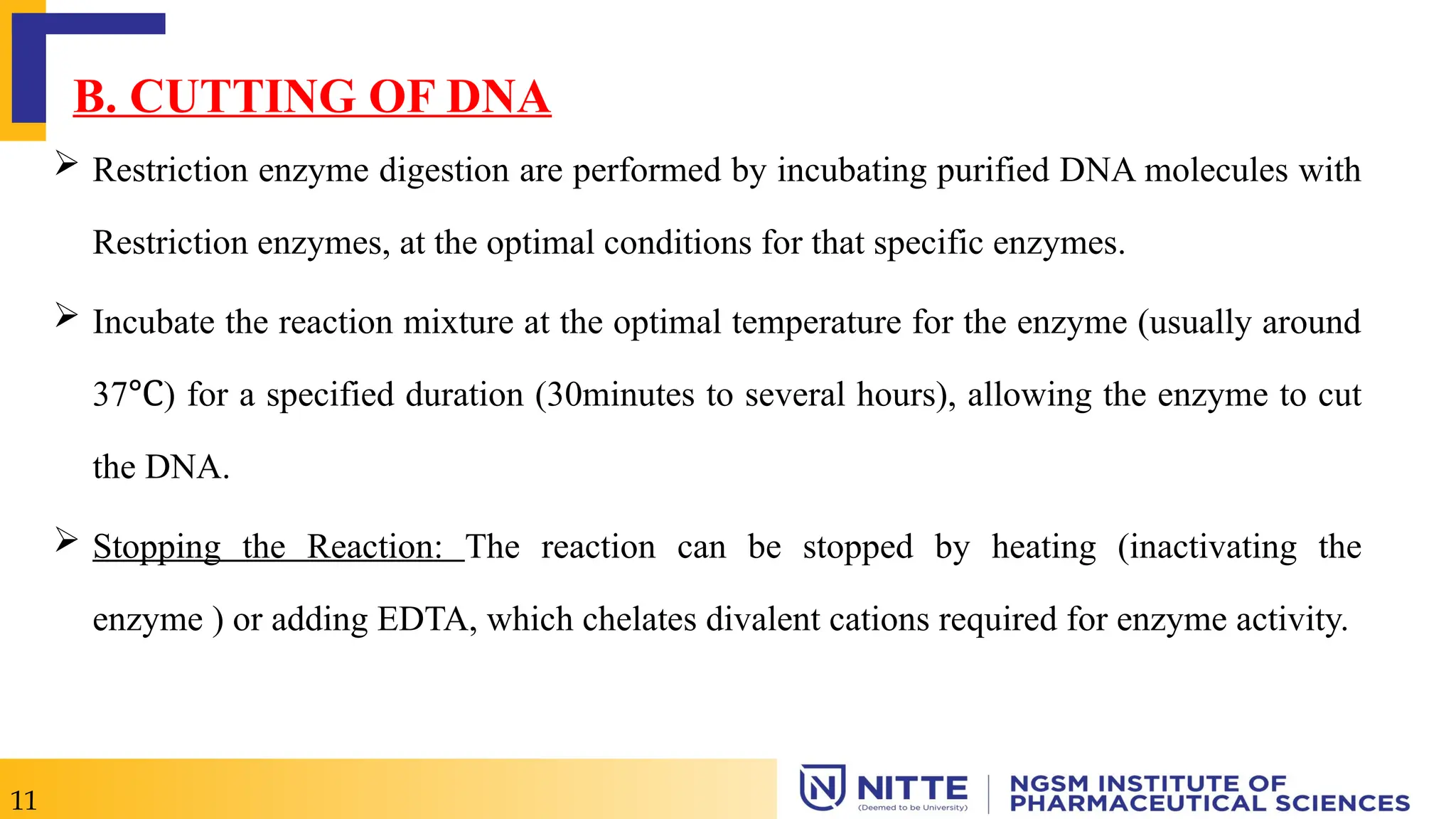 11
B. CUTTING OF DNA
 Restriction enzyme digestion are performed by incubating purified DNA molecules with
Restriction enzymes, at the optimal conditions for that specific enzymes.
 Incubate the reaction mixture at the optimal temperature for the enzyme (usually around
37 ) for a specified duration (30minutes to several hours), allowing the enzyme to cut
℃
the DNA.
 Stopping the Reaction: The reaction can be stopped by heating (inactivating the
enzyme ) or adding EDTA, which chelates divalent cations required for enzyme activity.
 