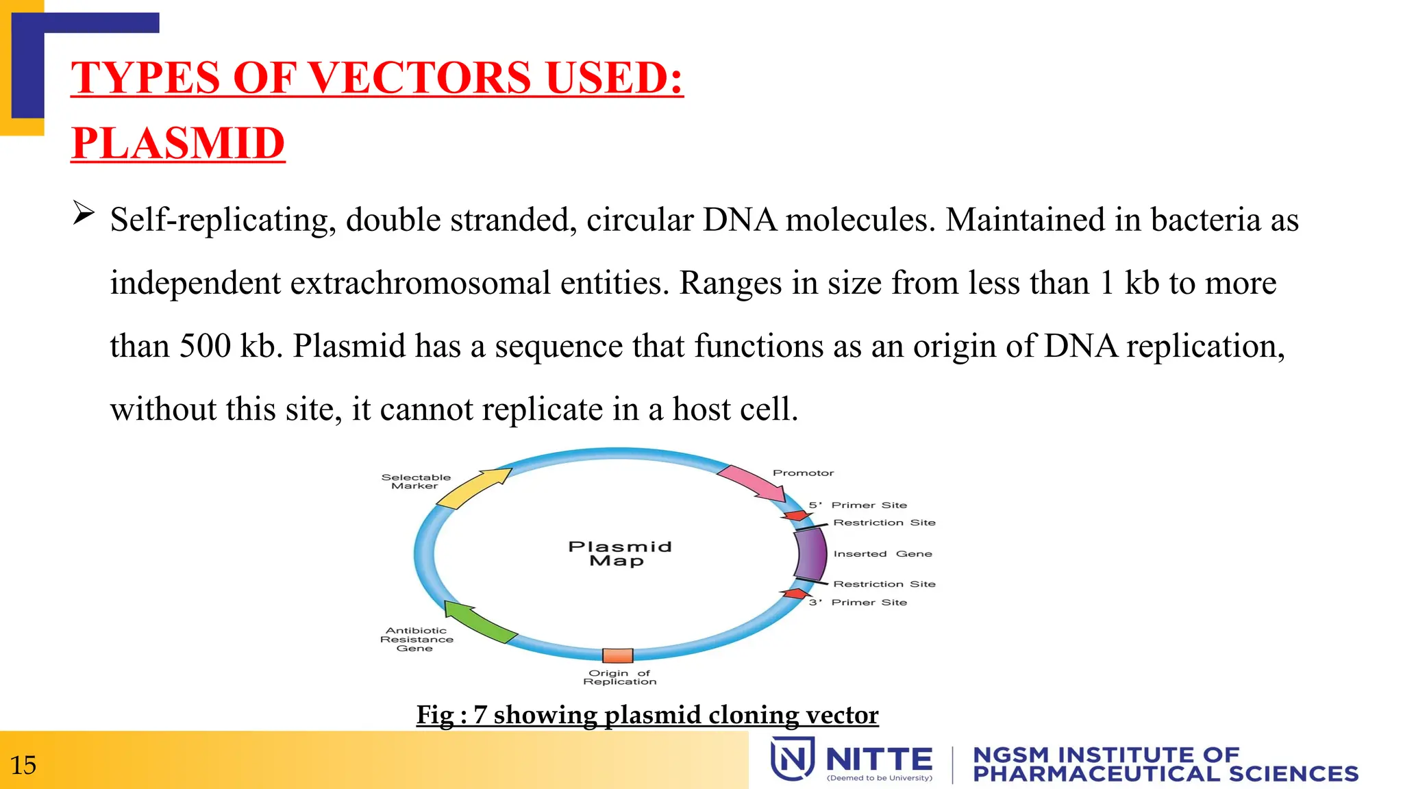 TYPES OF VECTORS USED:
PLASMID
 Self-replicating, double stranded, circular DNA molecules. Maintained in bacteria as
independent extrachromosomal entities. Ranges in size from less than 1 kb to more
than 500 kb. Plasmid has a sequence that functions as an origin of DNA replication,
without this site, it cannot replicate in a host cell.
15
Fig : 7 showing plasmid cloning vector
 