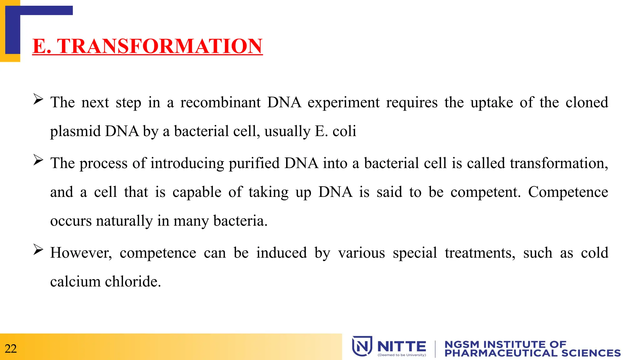E. TRANSFORMATION
 The next step in a recombinant DNA experiment requires the uptake of the cloned
plasmid DNA by a bacterial cell, usually E. coli
 The process of introducing purified DNA into a bacterial cell is called transformation,
and a cell that is capable of taking up DNA is said to be competent. Competence
occurs naturally in many bacteria.
 However, competence can be induced by various special treatments, such as cold
calcium chloride.
22
 