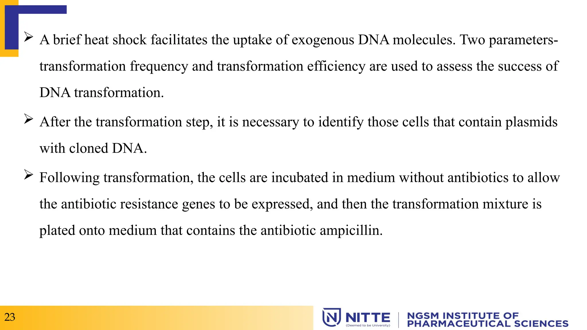  A brief heat shock facilitates the uptake of exogenous DNA molecules. Two parameters-
transformation frequency and transformation efficiency are used to assess the success of
DNA transformation.
 After the transformation step, it is necessary to identify those cells that contain plasmids
with cloned DNA.
 Following transformation, the cells are incubated in medium without antibiotics to allow
the antibiotic resistance genes to be expressed, and then the transformation mixture is
plated onto medium that contains the antibiotic ampicillin.
23
 