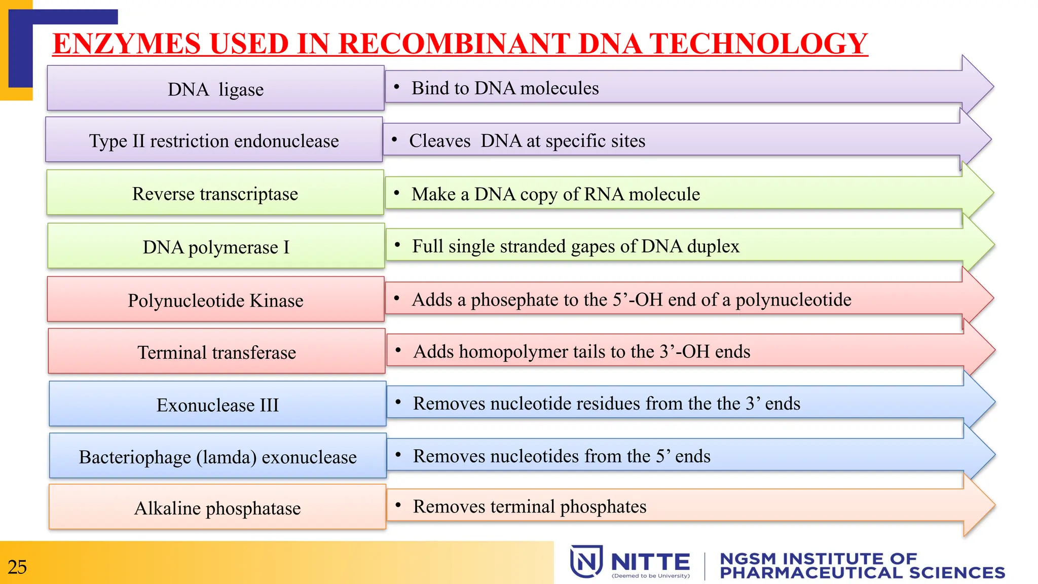ENZYMES USED IN RECOMBINANT DNA TECHNOLOGY
Type II restriction endonuclease
DNA ligase
Reverse transcriptase
DNA polymerase I
Polynucleotide Kinase
Terminal transferase
Exonuclease III
Bacteriophage (lamda) exonuclease
Alkaline phosphatase
• Bind to DNA molecules
• Cleaves DNA at specific sites
• Make a DNA copy of RNA molecule
• Full single stranded gapes of DNA duplex
• Adds a phosephate to the 5’-OH end of a polynucleotide
• Adds homopolymer tails to the 3’-OH ends
• Removes nucleotide residues from the the 3’ ends
• Removes nucleotides from the 5’ ends
• Removes terminal phosphates
25
 