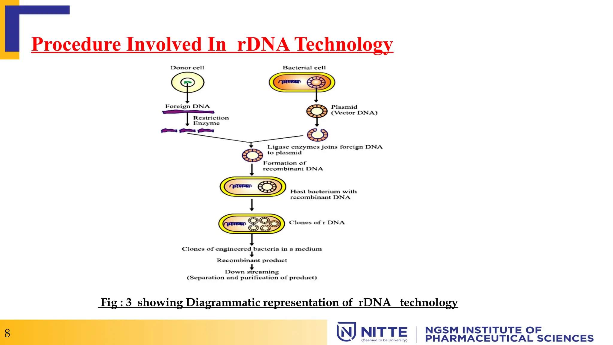 Procedure Involved In rDNA Technology
8
Fig : 3 showing Diagrammatic representation of rDNA technology
 