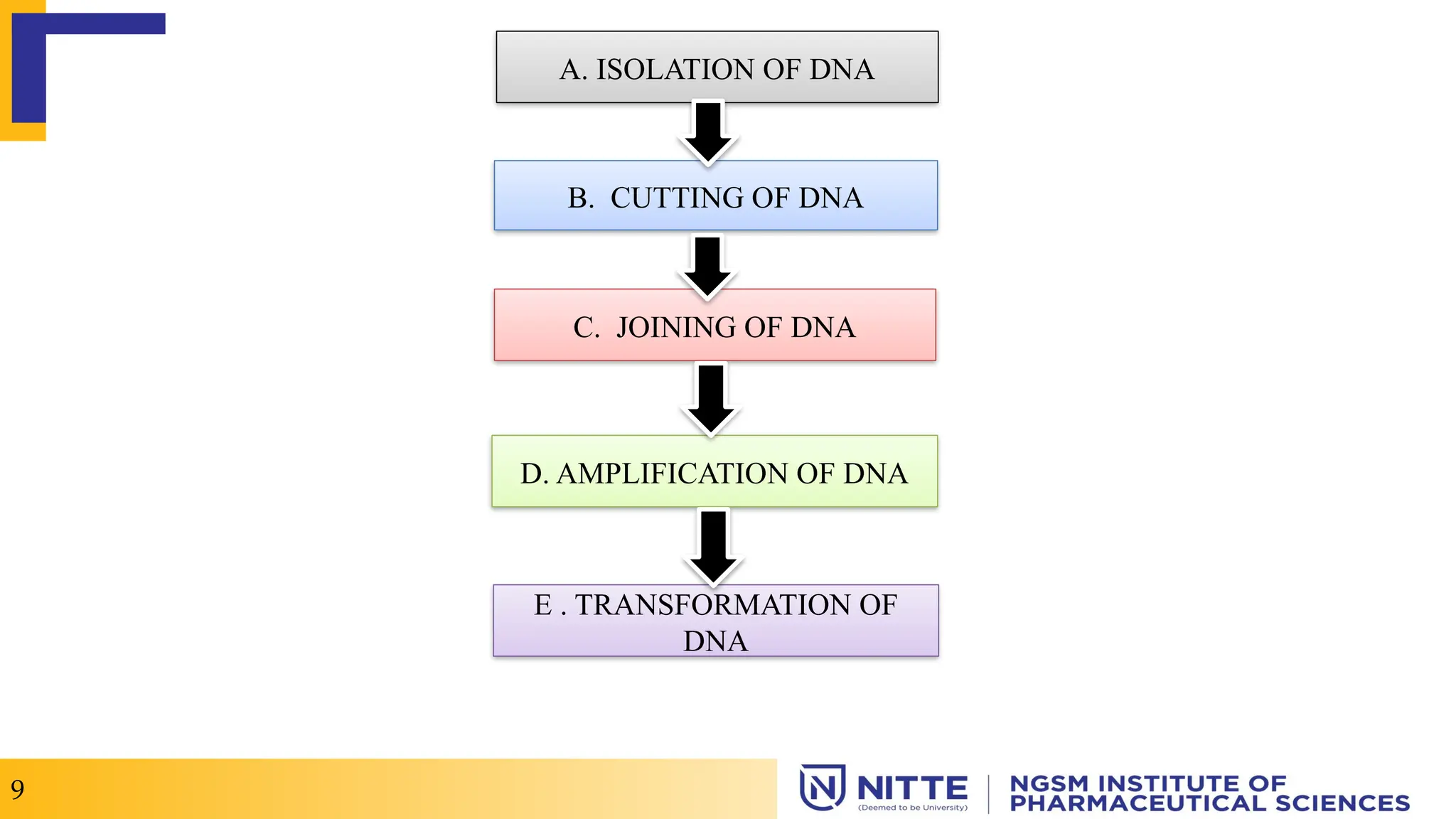 A. ISOLATION OF DNA
B. CUTTING OF DNA
C. JOINING OF DNA
D. AMPLIFICATION OF DNA
E . TRANSFORMATION OF
DNA
9
 