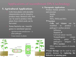 5. Agricultural Applications
› Cells from plants with desirable
characteristics can be cloned to
produce many identical cells, then
can be used to produce whole
plants from which seeds can be
harvested.
› Some bacteria can transfer
genes to unrelated species
 Agrobacterium tumefaciens - a
plant pathogen
 Cause tumors in plants
6. Therapeutic Applications
Produce human proteins – hormones
and enzymes
Insulin
hGH
INFα, INFβ and INFγ
Vaccines
Cells and viruses can be
modified to produce a
pathogen’s surface protein
Influenza
Hepatitis B
Cervical cancer vaccine
Nonpathogenic viruses
carrying genes for
pathogen’s antigens as
DNA vaccines
DNA vaccines consist of circular
rDNA
Gene therapy can be used to cure
genetic diseases by replacing the
defective or missing gene.
 