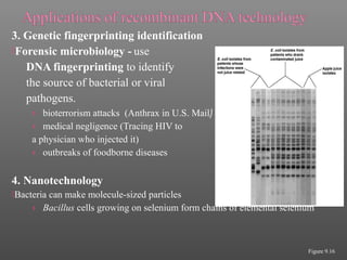 3. Genetic fingerprinting identification
Forensic microbiology - use
DNA fingerprinting to identify
the source of bacterial or viral
pathogens.
› bioterrorism attacks (Anthrax in U.S. Mail)
› medical negligence (Tracing HIV to
a physician who injected it)
› outbreaks of foodborne diseases
4. Nanotechnology
Bacteria can make molecule-sized particles
› Bacillus cells growing on selenium form chains of elemental selenium
Figure 9.16
 