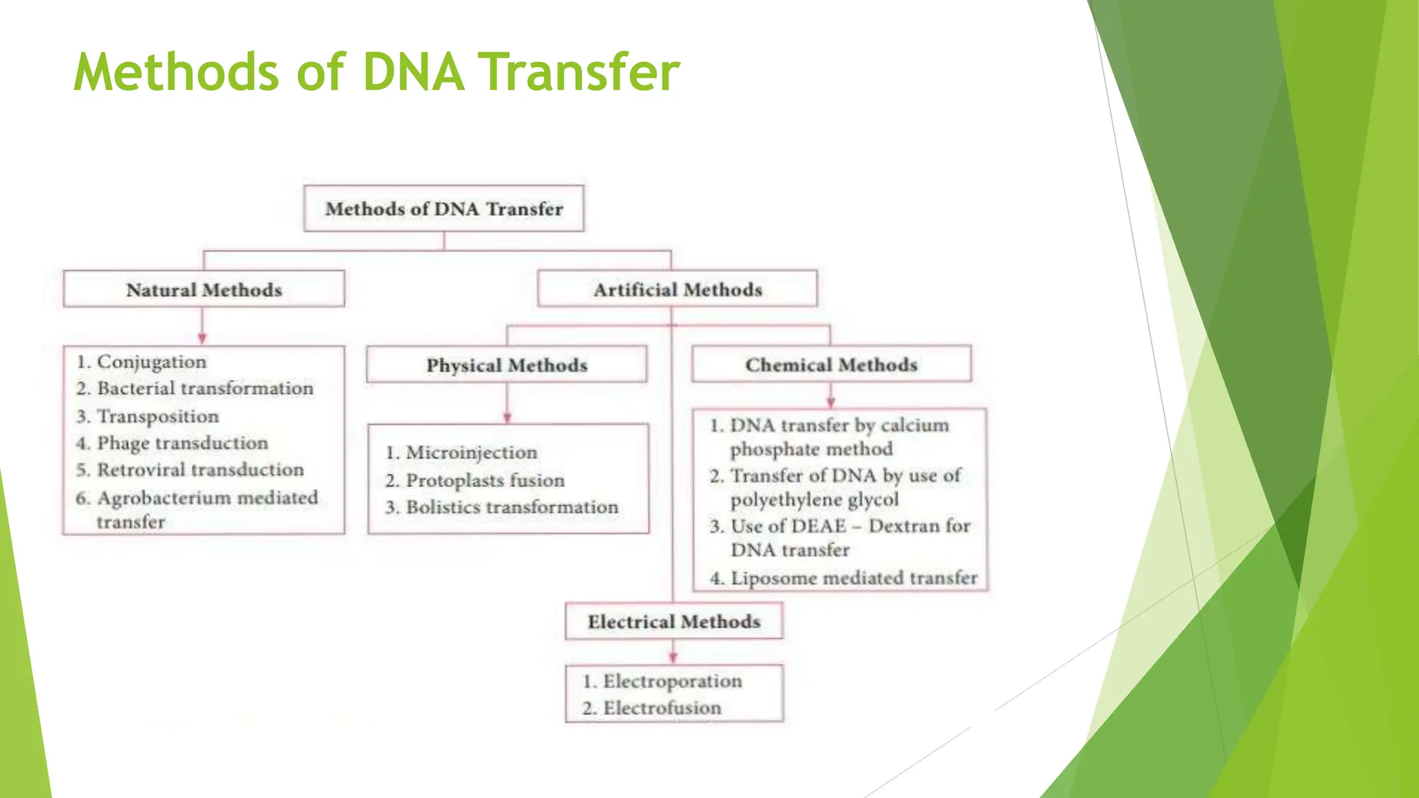 Methods of DNA Transfer
 