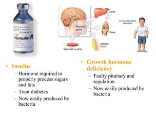 • Insulin
– Hormone required to
properly process sugars
and fats
– Treat diabetes
– Now easily produced by
bacteria
• Growth hormone
deficiency
– Faulty pituitary and
regulation
– Now easily produced by
bacteria
 