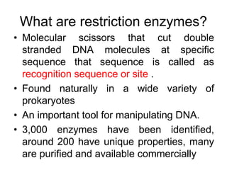 What are restriction enzymes?
• Molecular scissors that cut double
stranded DNA molecules at specific
sequence that sequence is called as
recognition sequence or site .
• Found naturally in a wide variety of
prokaryotes
• An important tool for manipulating DNA.
• 3,000 enzymes have been identified,
around 200 have unique properties, many
are purified and available commercially
 