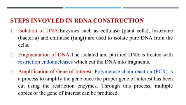 RDNA (microarchitecture) visual data 6