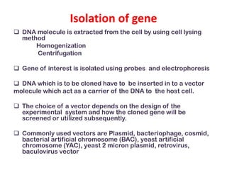 Isolation of gene
 DNA molecule is extracted from the cell by using cell lysing
method
Homogenization
Centrifugation
 Gene of interest is isolated using probes and electrophoresis
 DNA which is to be cloned have to be inserted in to a vector
molecule which act as a carrier of the DNA to the host cell.
 The choice of a vector depends on the design of the
experimental system and how the cloned gene will be
screened or utilized subsequently.

 Commonly used vectors are Plasmid, bacteriophage, cosmid,
bacterial artificial chromosome (BAC), yeast artificial
chromosome (YAC), yeast 2 micron plasmid, retrovirus,
baculovirus vector

 
