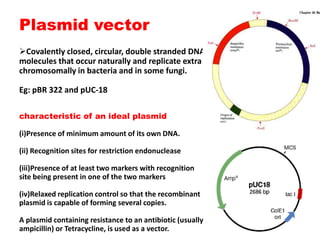 Plasmid vector
Covalently closed, circular, double stranded DNA
molecules that occur naturally and replicate extra
chromosomally in bacteria and in some fungi.
Eg: pBR 322 and pUC-18
characteristic of an ideal plasmid

(antibiotic resistance gene, such as ampr and tetr

(i)Presence of minimum amount of its own DNA.

(ii) Recognition sites for restriction endonuclease
(iii)Presence of at least two markers with recognition
site being present in one of the two markers
(iv)Relaxed replication control so that the recombinant
plasmid is capable of forming several copies.
A plasmid containing resistance to an antibiotic (usually
ampicillin) or Tetracycline, is used as a vector.

 