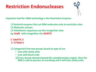 Restriction Endonucleases
Important tool for rDNA technology is the Restriction Enzymes

 Bacterial enzymes that cut DNA molecules only at restriction sites
 Molecular scissors
 Palindromic sequences are the recognition sites
eg: EcoRI with recognition site GAATTC
5´ GAATTC 3´
3´ CTTAAG 5
 Categorized into two groups based on type of cut
• Cuts with sticky ends
• Cuts with blunt ends
if one strand extends beyond the complementary region, then the
DNA is said to possess an overhang and it will have sticky ends.

 