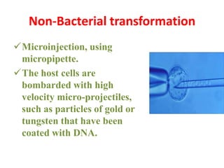 Non-Bacterial transformation
Microinjection, using
micropipette.
The host cells are
bombarded with high
velocity micro-projectiles,
such as particles of gold or
tungsten that have been
coated with DNA.

 