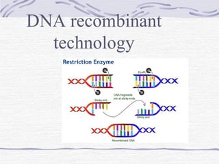 DNA recombinant
technology
 