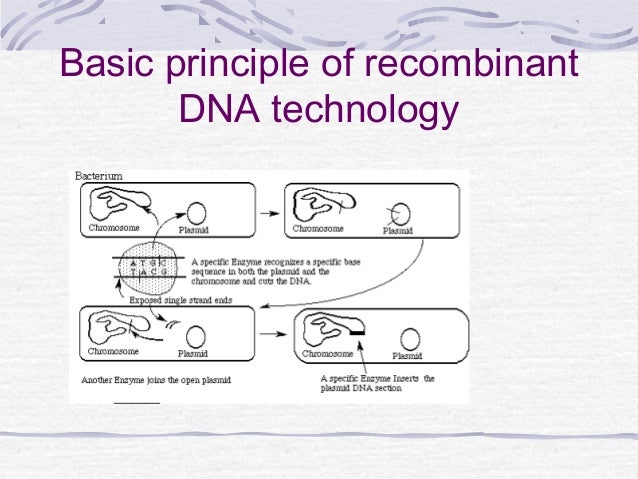 R dna technology