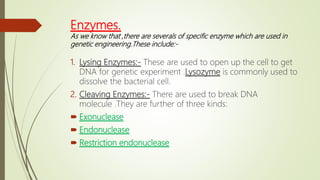 Enzymes.
As we know that ,there are severals of specific enzyme which are used in
genetic engineering.These include:-
1. Lysing Enzymes:- These are used to open up the cell to get
DNA for genetic experiment .Lysozyme is commonly used to
dissolve the bacterial cell.
2. Cleaving Enzymes:- There are used to break DNA
molecule .They are further of three kinds:
 Exonuclease
 Endonuclease
 Restriction endonuclease
 