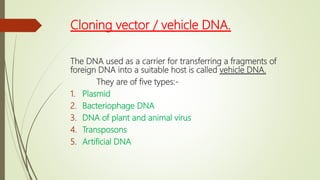 Cloning vector / vehicle DNA.
The DNA used as a carrier for transferring a fragments of
foreign DNA into a suitable host is called vehicle DNA.
They are of five types:-
1. Plasmid
2. Bacteriophage DNA
3. DNA of plant and animal virus
4. Transposons
5. Artificial DNA
 