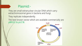 Plasmid:-
They are small extranuclear circular DNA which carry
extrachromosomal gene in bacteria and fungi.
They replicate independently.
The best known vector which are available commercially are
pBR322 & pUC18.
 