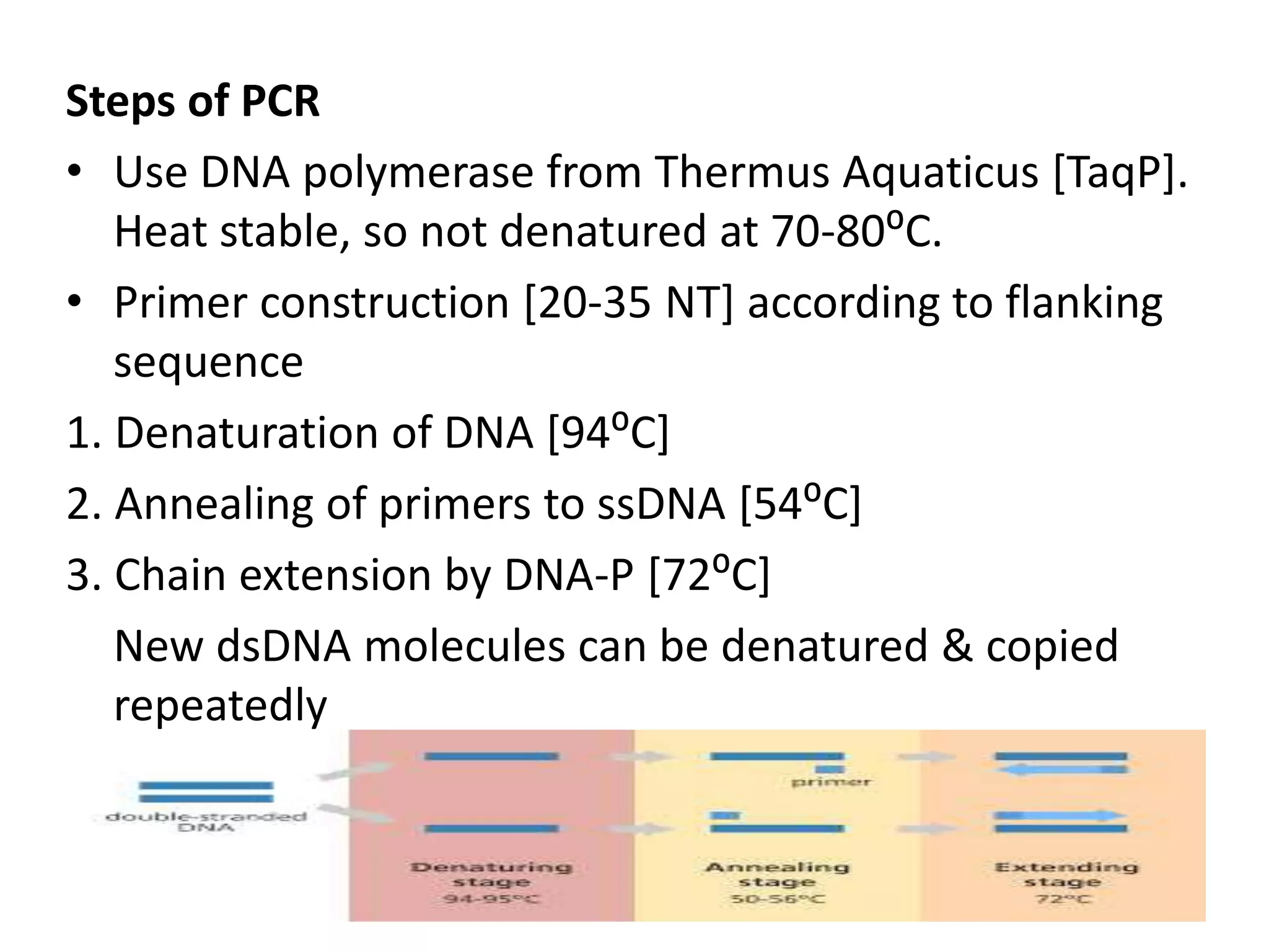 Steps of PCR
• Use DNA polymerase from Thermus Aquaticus [TaqP].
Heat stable, so not denatured at 70-80⁰C.
• Primer construction [20-35 NT] according to flanking
sequence
1. Denaturation of DNA [94⁰C]
2. Annealing of primers to ssDNA [54⁰C]
3. Chain extension by DNA-P [72⁰C]
New dsDNA molecules can be denatured & copied
repeatedly
 