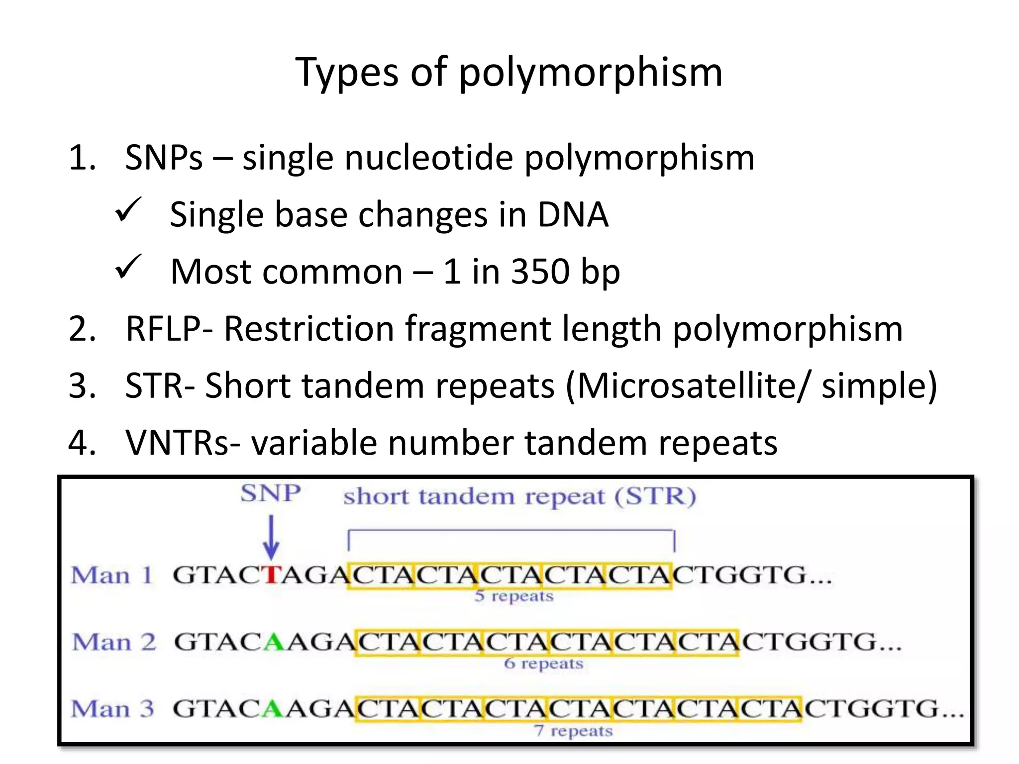 Types of polymorphism
1. SNPs – single nucleotide polymorphism
 Single base changes in DNA
 Most common – 1 in 350 bp
2. RFLP- Restriction fragment length polymorphism
3. STR- Short tandem repeats (Microsatellite/ simple)
4. VNTRs- variable number tandem repeats
 