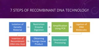 rDNA Technology | PPTX