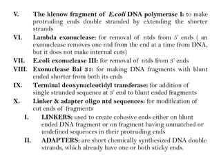 V. The klenow fragment of E.coli DNA polymerase I: to make
protruding ends double stranded by extending the shorter
strands
VI. Lambda exonuclease: for removal of ntds from 5’ ends ( an
exonuclease removes one ntd from the end at a time from DNA,
but it does not make internal cuts)
VII. E.coli exonuclease III: for removal of ntds from 3’ ends
VIII. Exonuclease Bal 31: for making DNA fragments with blunt
ended shorter from both its ends
IX. Terminal deoxynucleotidyl transferase: for addition of
single stranded sequence at 3’ end to blunt ended fragments
X. Linker & adapter oligo ntd sequences: for modification of
cut ends of fragments
I. LINKERS: used to create cohesive ends either on blunt
ended DNA fragment or on fragment having unmatched or
undefined sequences in their protruding ends
II. ADAPTERS: are short chemically synthesized DNA double
strands, which already have one or both sticky ends.
 