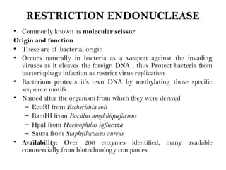 RESTRICTION ENDONUCLEASE
• Commonly known as molecular scissor
Origin and function
• These are of bacterial origin
• Occurs naturally in bacteria as a weapon against the invading
viruses as it cleaves the foreign DNA , thus Protect bacteria from
bacteriophage infection as restrict virus replication
• Bacterium protects it’s own DNA by methylating those specific
sequence motifs
• Named after the organism from which they were derived
– EcoRI from Escherichia coli
– BamHI from Bacillus amyloliquefaciens
– HpaI from Haemophilus influenza
– Sau3a from Staphyllococcus aureus
• Availability: Over 200 enzymes identified, many available
commercially from biotechnology companies
 