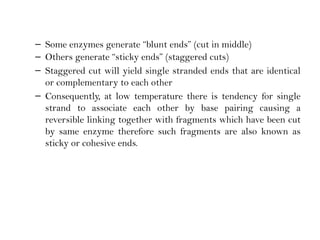 – Some enzymes generate “blunt ends” (cut in middle)
– Others generate “sticky ends” (staggered cuts)
– Staggered cut will yield single stranded ends that are identical
or complementary to each other
– Consequently, at low temperature there is tendency for single
strand to associate each other by base pairing causing a
reversible linking together with fragments which have been cut
by same enzyme therefore such fragments are also known as
sticky or cohesive ends.
 